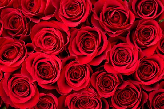 Take a Spa Trip this Valentine’s Day