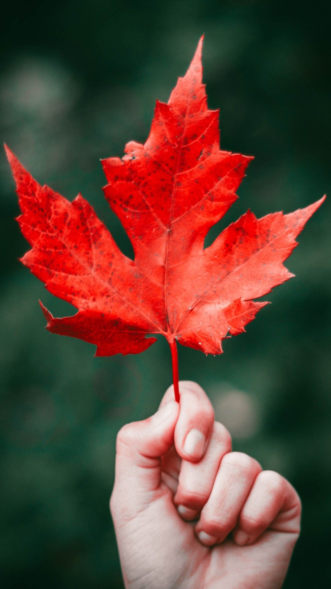 Canada Day 2021