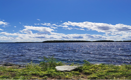 Summer is finally here! - Dee Brissett