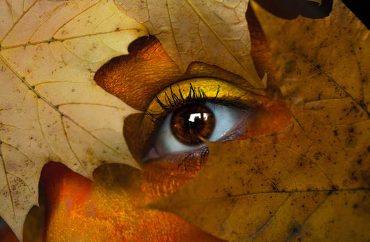 Is your skin FALL ready?