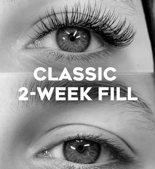 2 Week Eyelash Fill