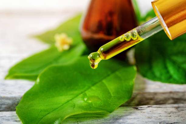 Tea Tree Oil