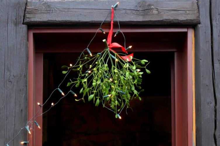 Under the Mistletoe