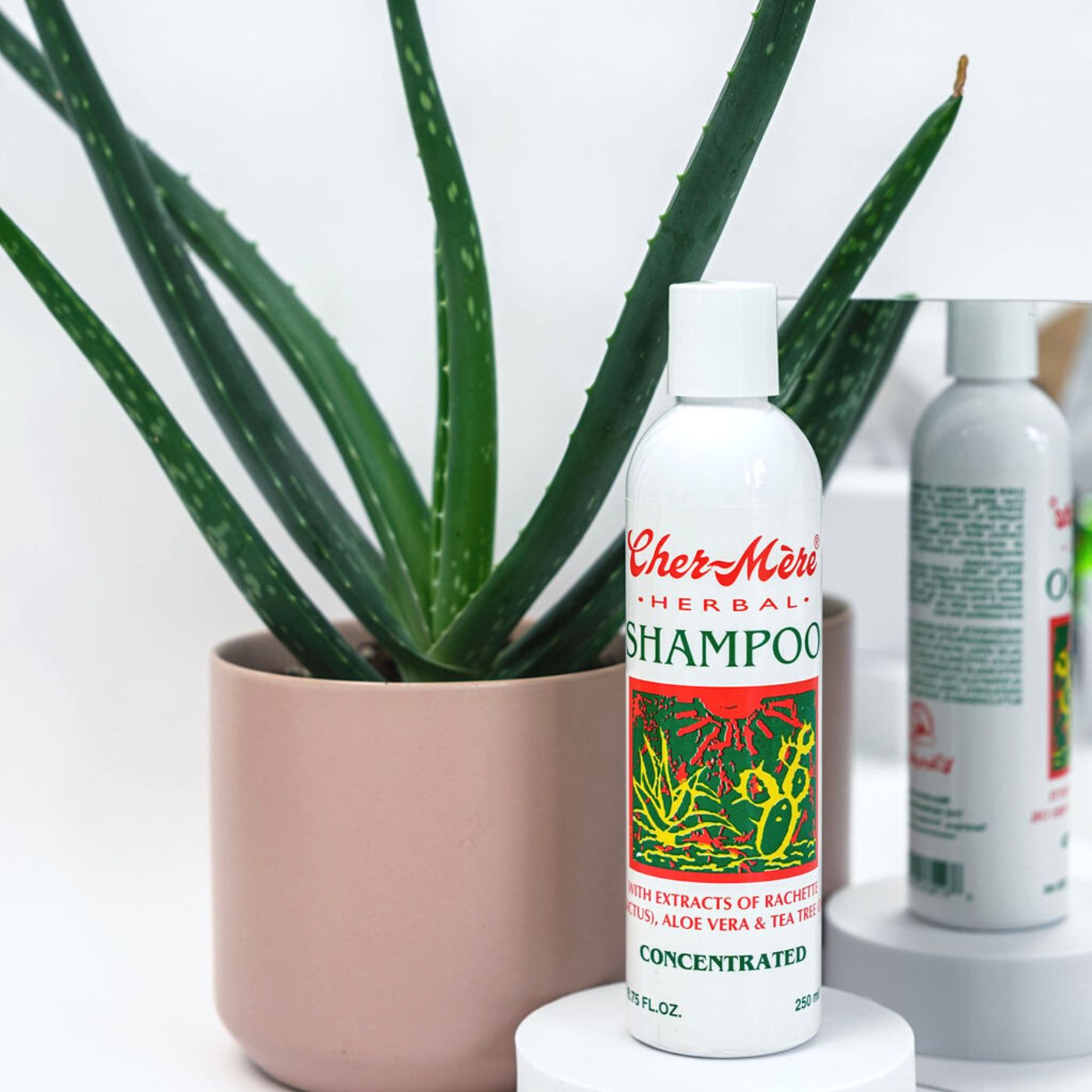 Herbal Shampoo with Rachette and Aloe - Cher-Mere Canada