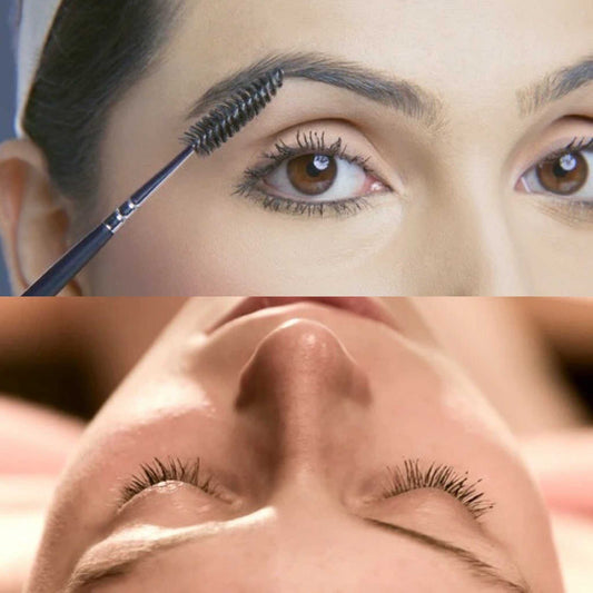 Lash and Brow Tint
