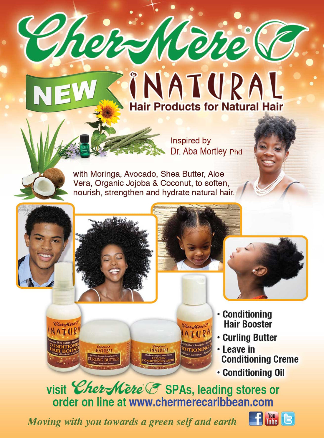 Why Moringa in Cher-Mère I-Natural Products for Natural Hair?