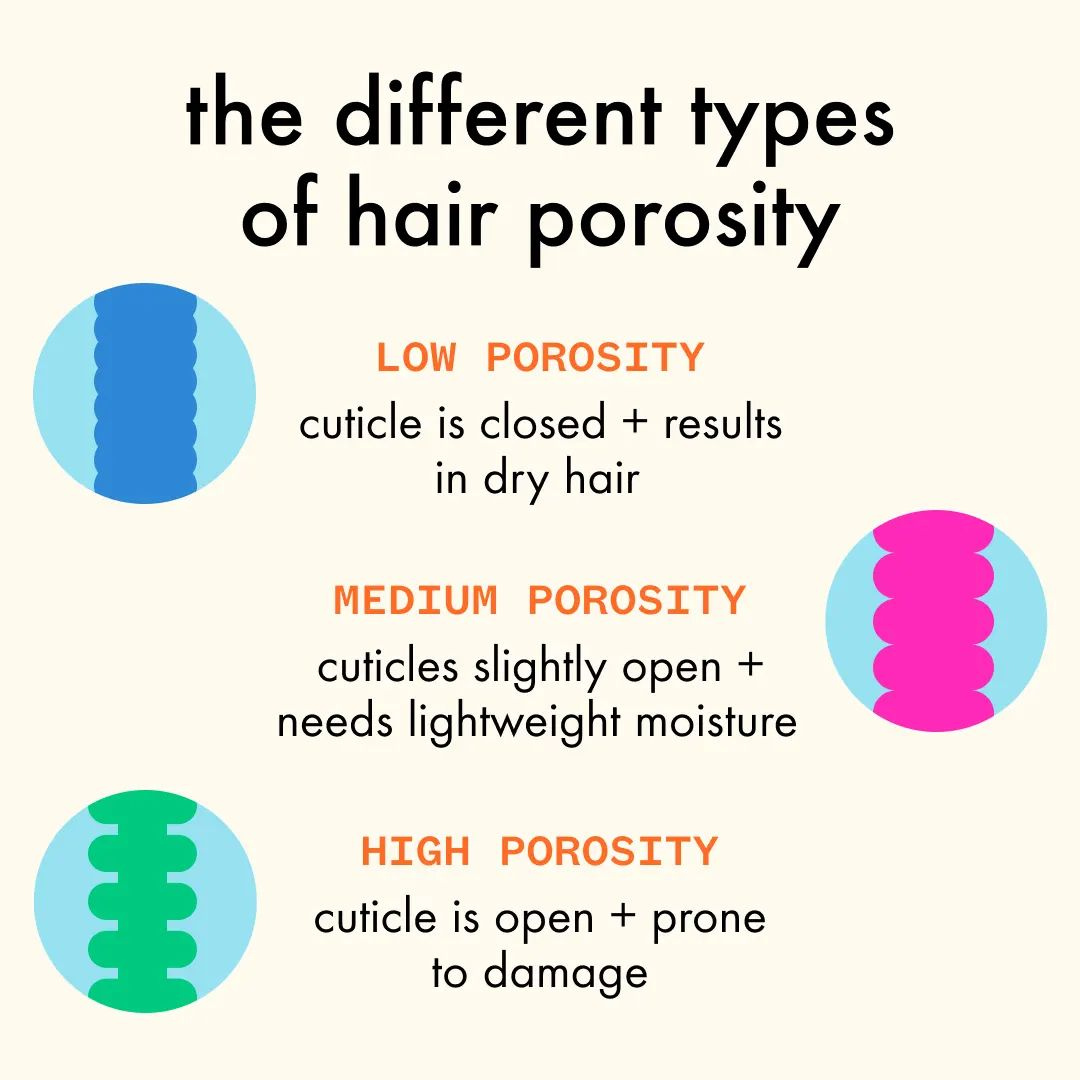 All About Hair Porosity: Discover Your Best Hair Yet