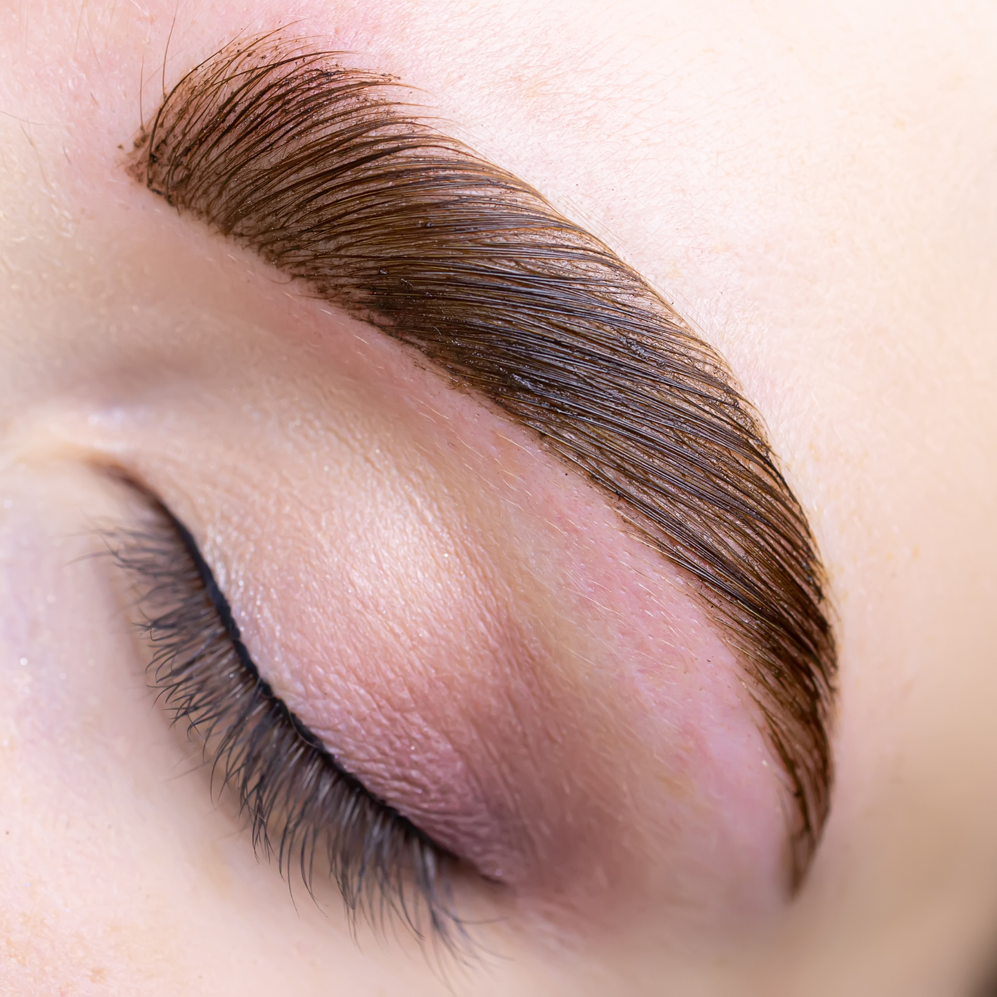 Eyebrow Lamination with Tint